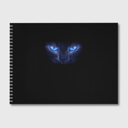 Альбом для рисования Кошка с голубыми глазами