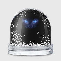 Игрушка Снежный шар Кошка с голубыми глазами