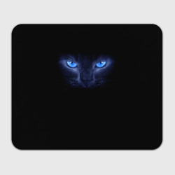 Прямоугольный коврик для мышки Кошка с голубыми глазами