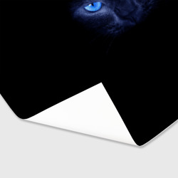 Бумага для упаковки 3D Кошка с голубыми глазами - фото 2