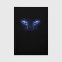 Обложка для автодокументов Кошка с голубыми глазами