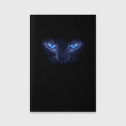 Кошка с голубыми глазами Кошка с голубыми глазами