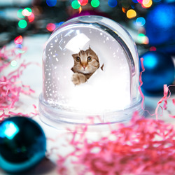 Игрушка Снежный шар Котик выглядывает из дырки - фото 2
