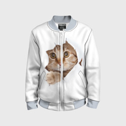 Детский бомбер 3D Котик выглядывает из дырки