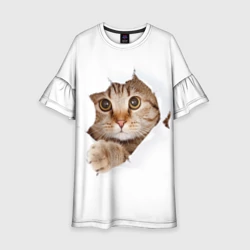 Детское платье 3D Котик выглядывает из дырки