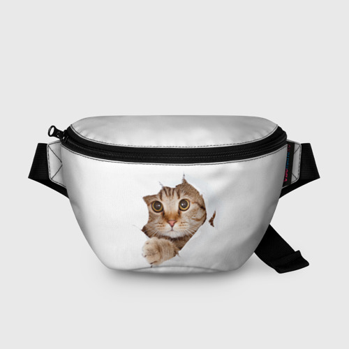 Поясная сумка 3D Котик Фото 01 Поясная сумка 3D Котик Фото 01