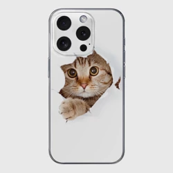 Чехол для iPhone 15 Pro силиконовый с защитой камеры Котик выглядывает из дырки