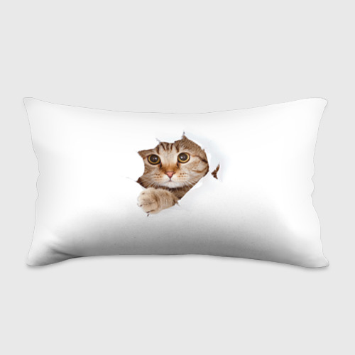 Подушка 3D антистресс Котик Фото 01 Подушка 3D антистресс Котик Фото 01