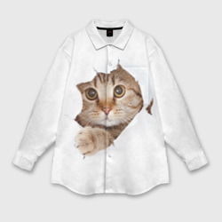 Женская рубашка oversize 3D Котик выглядывает из дырки