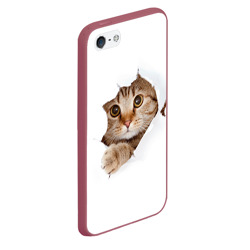 Чехол для iPhone 5/5S матовый Котик выглядывает из дырки - фото 2