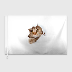 Флаг 3D Котик выглядывает из дырки