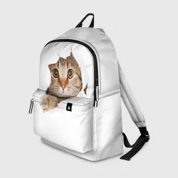 Рюкзак 3D Котик выглядывает из дырки