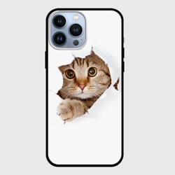 Чехол для iPhone 13 Pro Max Котик выглядывает из дырки