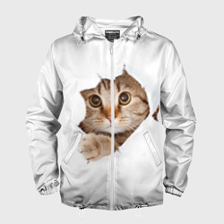 Мужская ветровка 3D Котик выглядывает из дырки