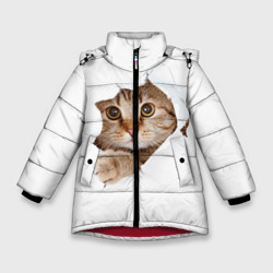 Зимняя куртка для девочек 3D Котик выглядывает из дырки