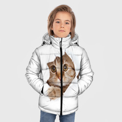 Зимняя куртка для мальчиков 3D Котик выглядывает из дырки - фото 2