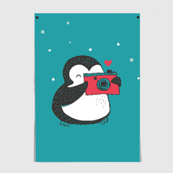 Постер Пингвин с фотоаппаратом
