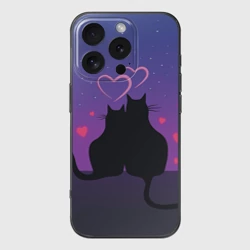 Чехол для iPhone 16 Pro Max силиконовый с защитой камеры Котик и киска