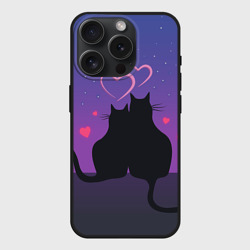 Чехол силиконовый для Apple iPhone 15 Pro Мax матовый Котик и киска