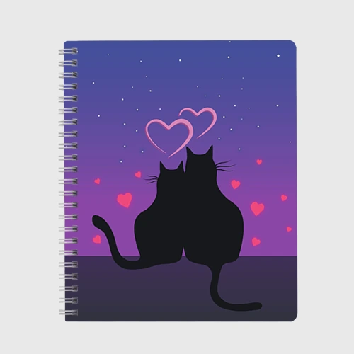 Тетрадь Котик и киска