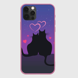 Чехол для iPhone 12 Pro Котик и киска