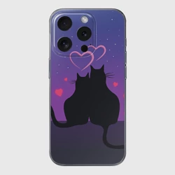 Чехол для iPhone 15 Pro силиконовый с защитой камеры Котик и киска