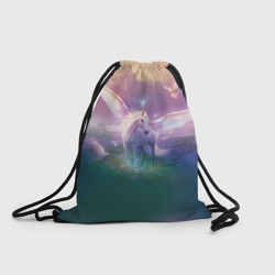 Рюкзак-мешок 3D Пегас