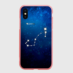 Чехол для iPhone XS Max матовый Скорпион