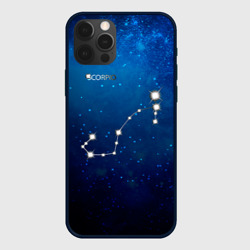 Чехол для iPhone 12 Pro Max Скорпион