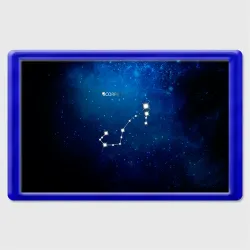 Магнит 45*70 Скорпион