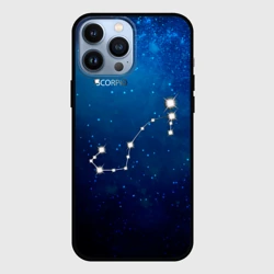 Чехол для iPhone 13 Pro Max Скорпион