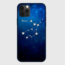 Чехол для iPhone 12 Pro Max Дева