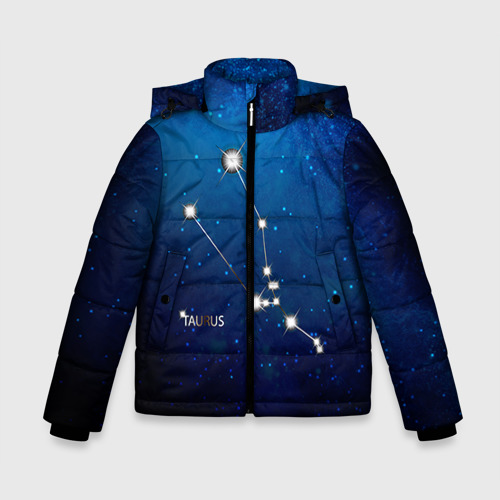 Зимняя куртка для мальчиков 3D Телец, цвет черный