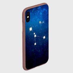 Чехол для iPhone XS Max матовый Рак - фото 2