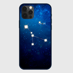 Чехол для iPhone 12 Pro Max Рак