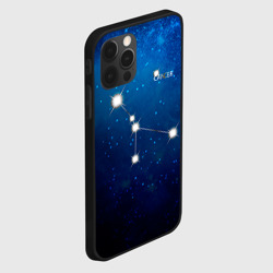 Чехол для iPhone 12 Pro Max Рак - фото 2