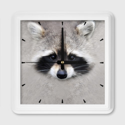 Настенные часы с енотом. Енот с часами. Квадратный енот. Енот в часах