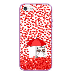 Чехол для iPhone 5/5S матовый Сердцепад и сердитый кот
