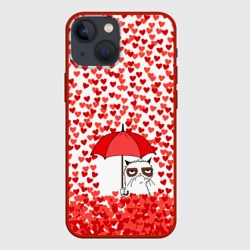 Чехол для iPhone 13 mini Сердцепад и сердитый кот
