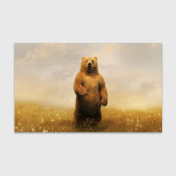 Бумага для упаковки 3D Медведь в поле