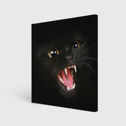 Холст квадратный Черный кот в темноте