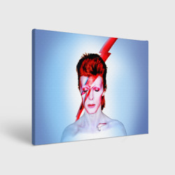 Холст прямоугольный Aladdin sane