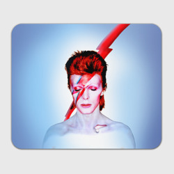 Прямоугольный коврик для мышки Aladdin sane