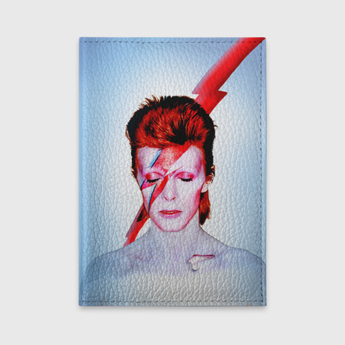 Обложка для автодокументов Aladdin sane