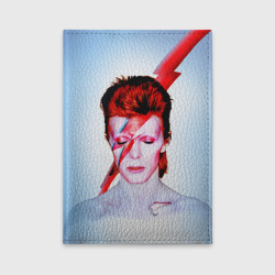 Обложка для автодокументов Aladdin sane