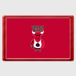 Магнит 45*70 Chicago bulls