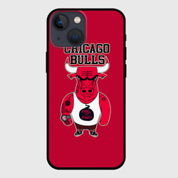 Чехол для iPhone 13 mini Chicago bulls