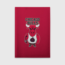 Обложка для автодокументов Chicago bulls