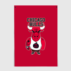 Постер Chicago bulls