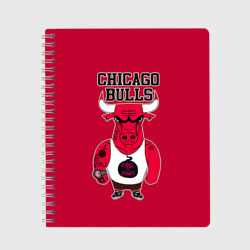 Тетрадь Chicago bulls